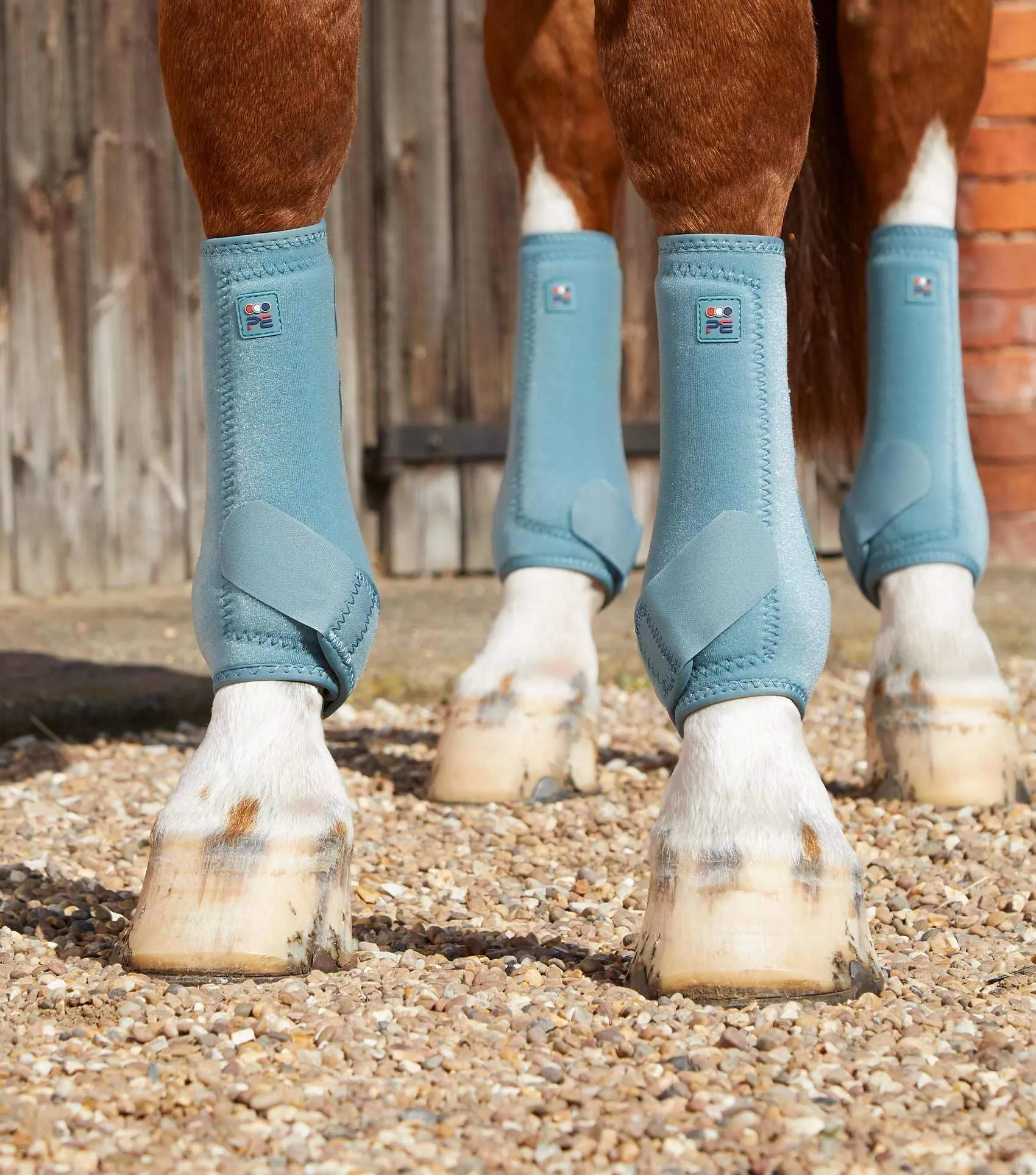 Premier Equine Air-Tech Sports Medicine Boots | Elite Saddlery