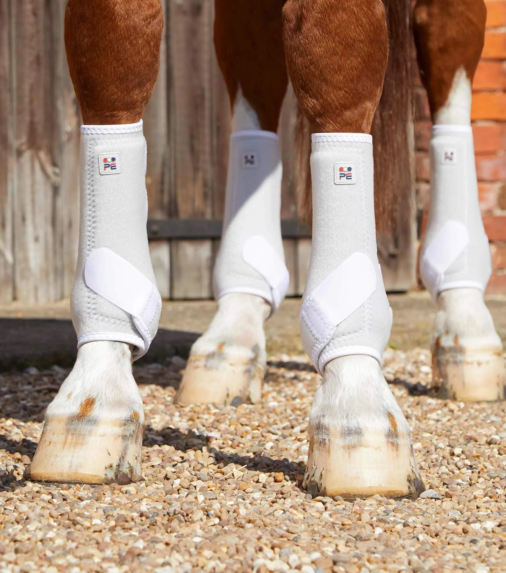 Premier Equine Air-Tech Sports Medicine Boots | Elite Saddlery