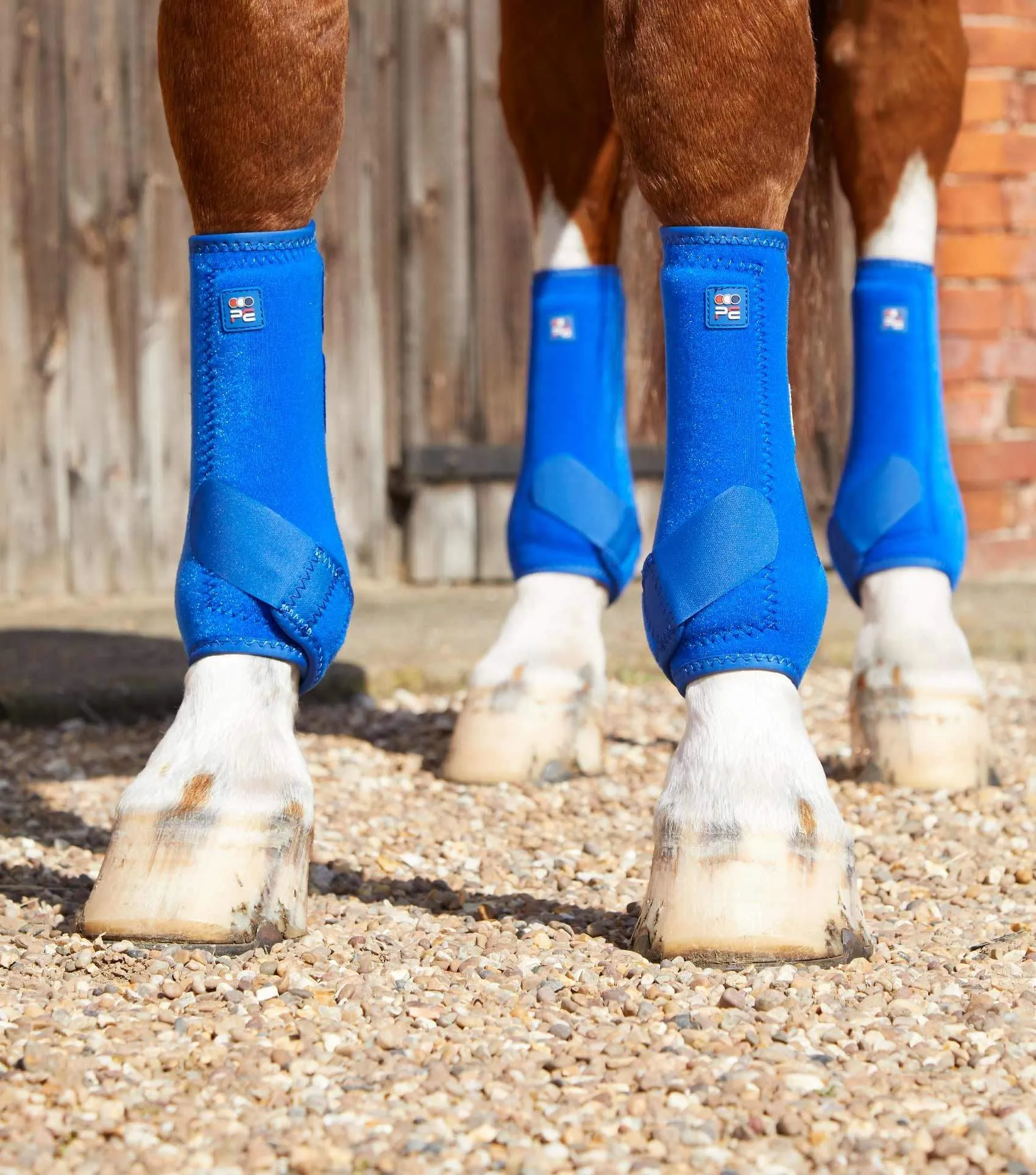 Premier Equine Air-Tech Sports Medicine Boots | Elite Saddlery