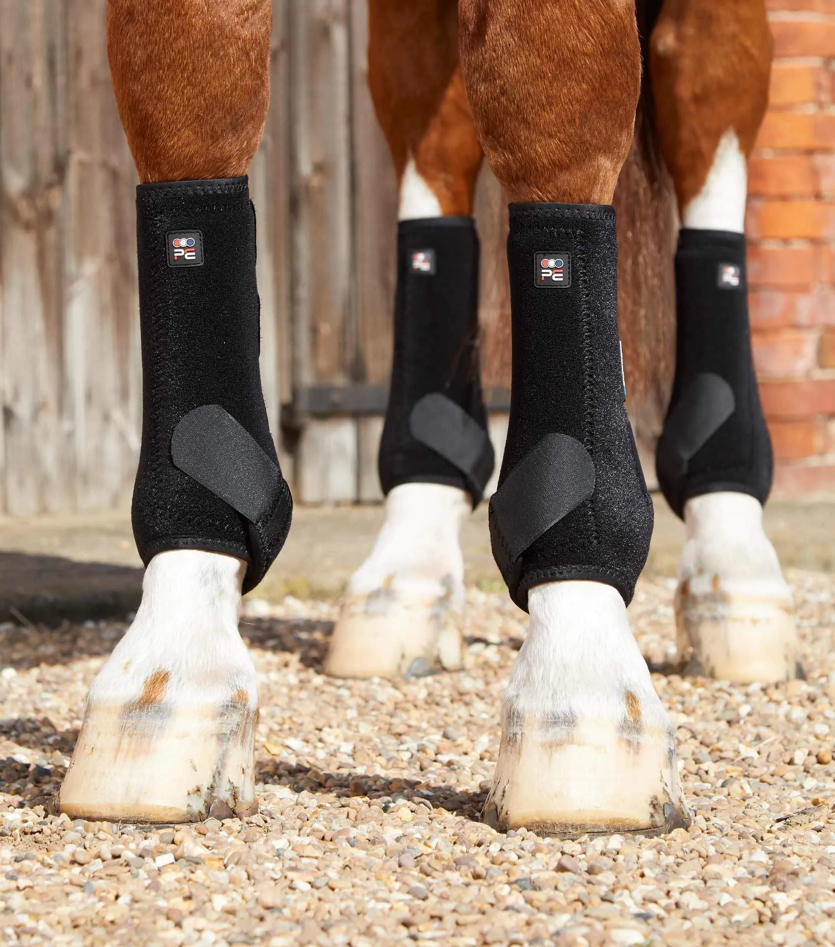 Premier Equine Air-Tech Sports Medicine Boots | Elite Saddlery