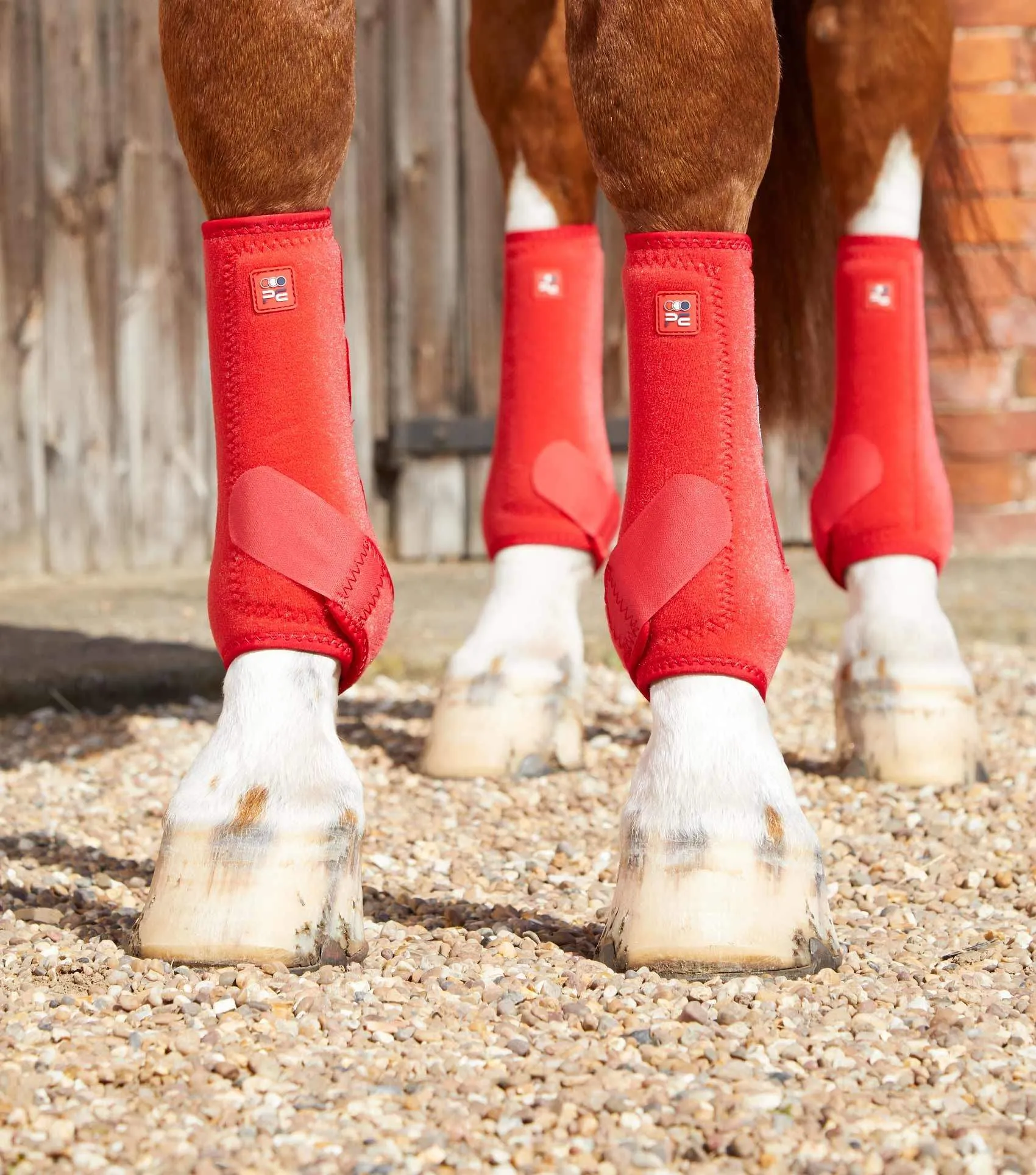 Premier Equine Air-Tech Sports Medicine Boots | Elite Saddlery