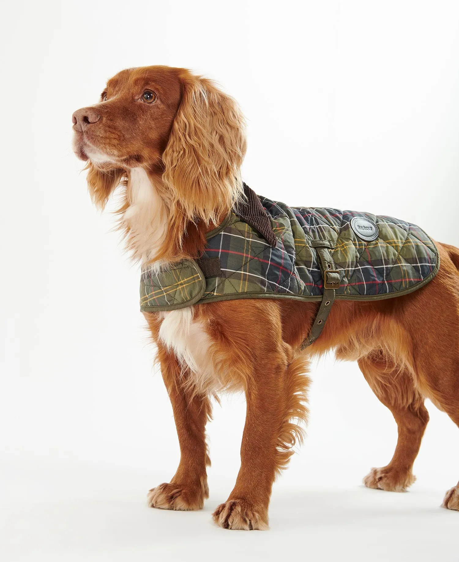  Tartan Dog Coat     