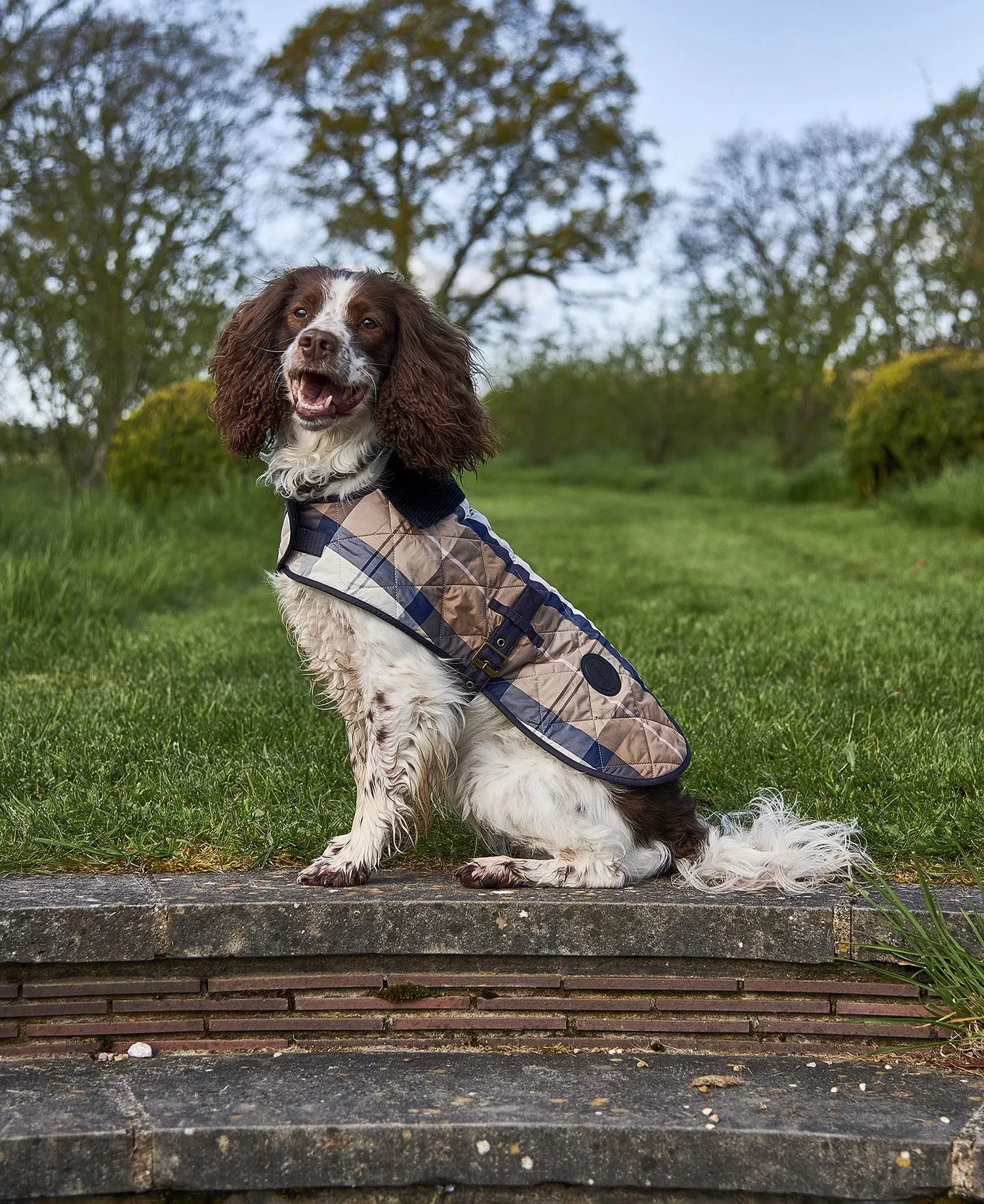  Tartan Dog Coat     