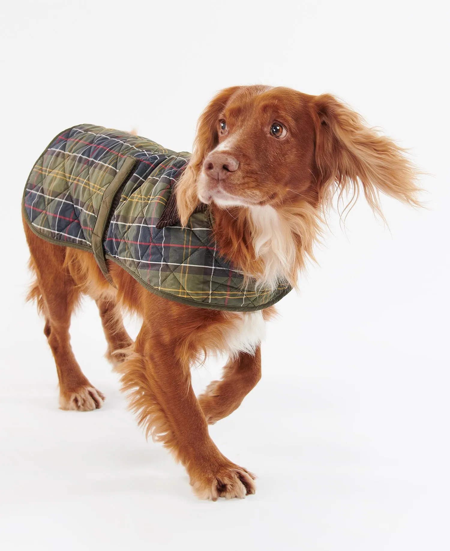  Tartan Dog Coat     