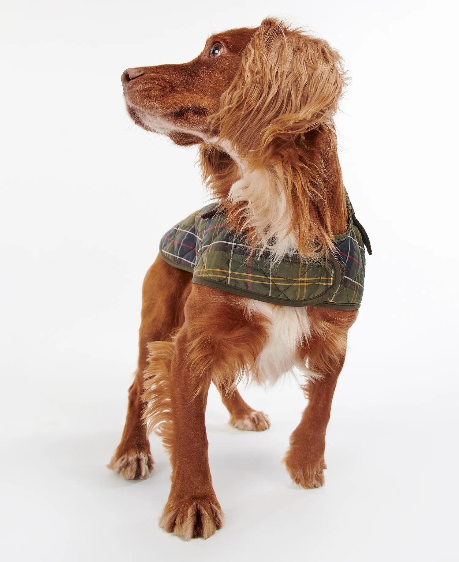  Tartan Dog Coat     